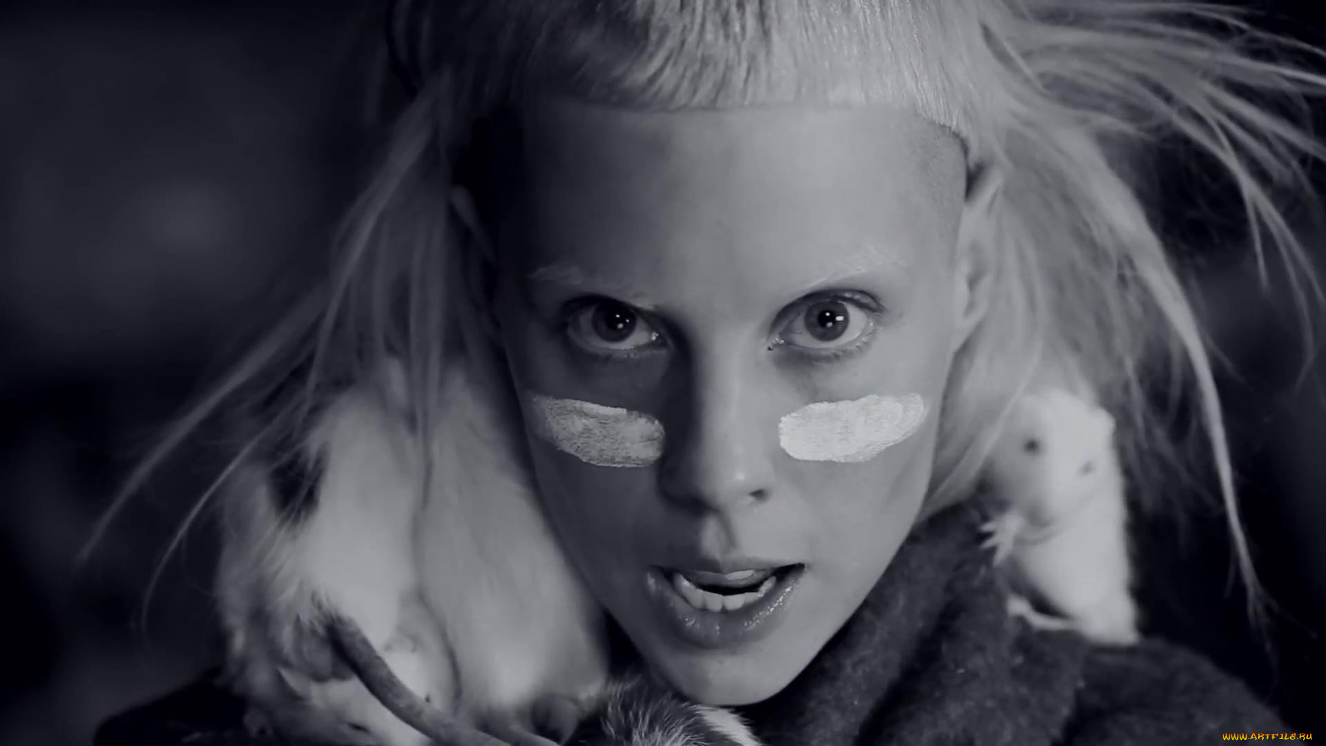 die-antwoord, , die antwoord, 